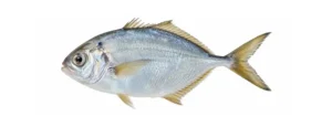 Võikala
